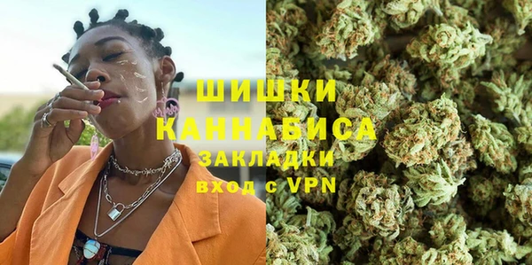 крисы Козловка