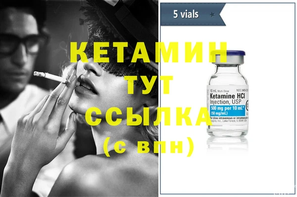 крисы Козловка