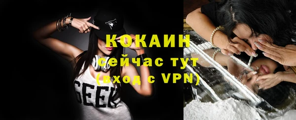 крисы Козловка