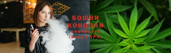 МДПВ Козельск