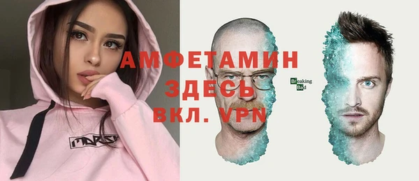 крисы Козловка