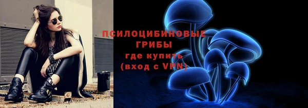 крисы Козловка