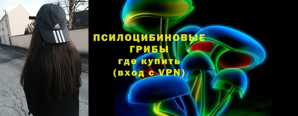 крисы Козловка