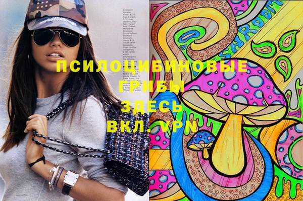МДПВ Козельск