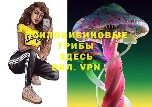 МДПВ Козельск