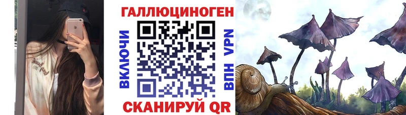 Псилоцибиновые грибы Cubensis Купить закладки Лысково